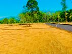 Land for Sale in Tangalle