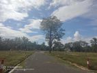 Land for Sale in Tangalle