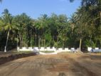 Land For Sale in Tangalle, Kadurupokuna