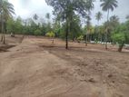 Land for Sale in Tangalle, Kadurupokuna