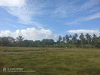 Land for Sale in Tangalle Lot No.23