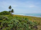 Land for Sale in Tangalle, Rekawa