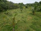 Land for Sale in Tangalle Rekawa