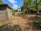 Land for sale in Tellipalai