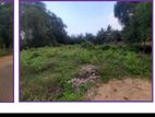 Land For Sale in Tellippalai
