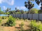 Land for Sale in Tellippalai