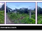 Land For Sale in Tellippalai