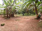 Land for Sale in Tewatta, Ragama