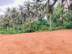 Land For Sale in Thalagala