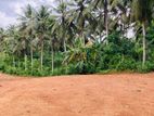 Land for Sale in Thalagala