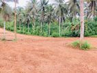 Land For Sale in Thalagala