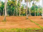 Land For Sale in Thalagala