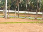 Land For Sale in Thalagala