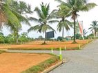 Land For Sale in Thalagala