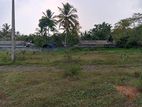 Land for Sale in Thalagala