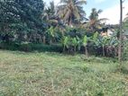 Land for Sale in Thalagala