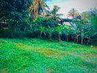 Land for Sale in Thalagala