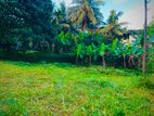 Land for Sale in Thalagala