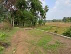 Land for Sale in Thalagala