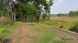 Land for Sale in Thalagala