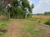 Land for Sale in Thalagala