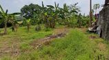 Land for Sale in Thalagala