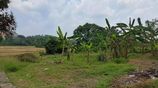 Land for Sale in Thalagala