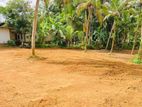 Land For Sale in Thalagala