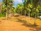 Land for Sale in Thalagala