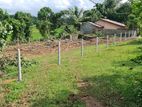 Land for Sale in Thalagala, Horana