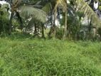 Land for sale in Thalagala (SSPL-291)