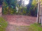 Land For Sale in Thalahena