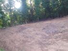Land For Sale in Thalahena