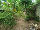 Land for Sale in Thalahena