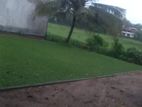 Land for Sale in Thalahena
