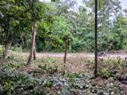 Land for Sale in Thalalla, Matara