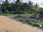 Land For Sale in Thalankudah