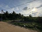 Land For Sale In Thalankudah