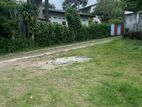 Land For Sale in Thalapathpitiya (SSPL-279)