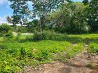 Land for Sale in Thalaramba, Kamburugamuwa