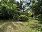 Land for Sale in Thalaramba, Mirissa
