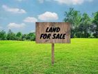 Land for sale in Thalawathugoda- CL429