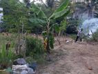 Land For Sale In Thalawathugoda - CL891