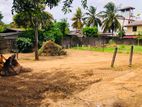 land for sale in thalawathugoda Ds1380