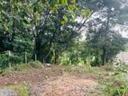 Land for Sale in Thalawathugoda