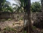 Land for sale in Thalawathugoda