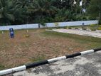 Land For Sale In Thalawathugoda