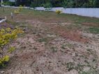 Land for Sale in Thalawathugoda