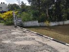 Land For Sale In Thalawathugoda