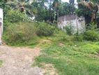 Land for Sale in Thalawathugoda